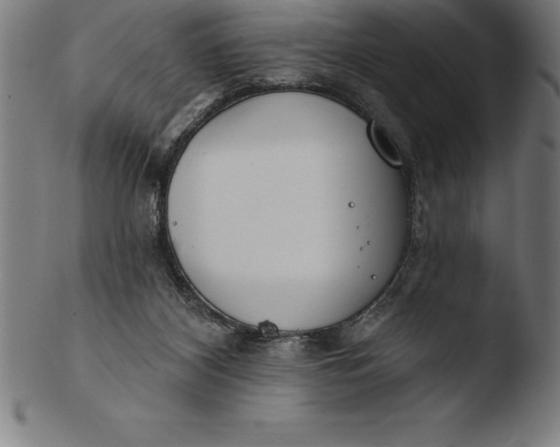 X0000103460116200809261850