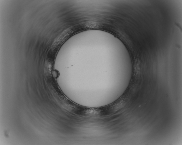 X0000103460117200809261850