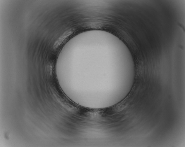 X0000103460120200809261850