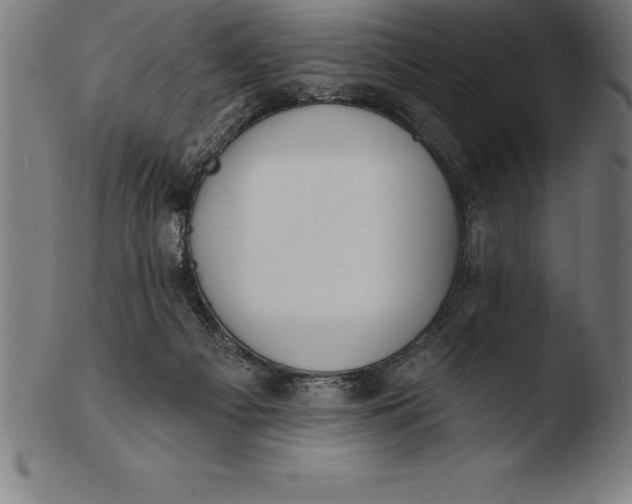 X0000103460121200809261850