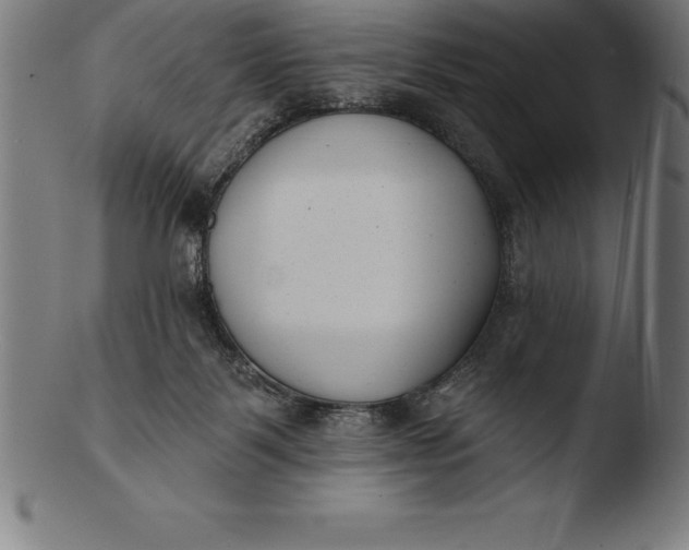 X0000103460123200809261850