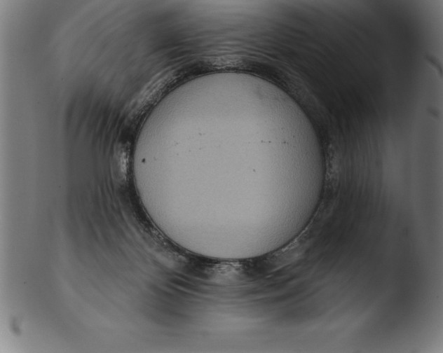 X0000103460124200809261849