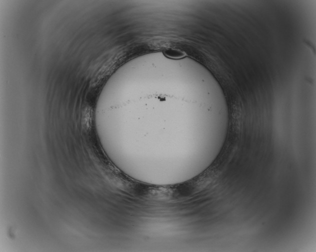 X0000103460125200809261849