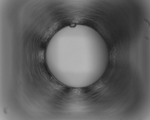 X0000103460127200809261849