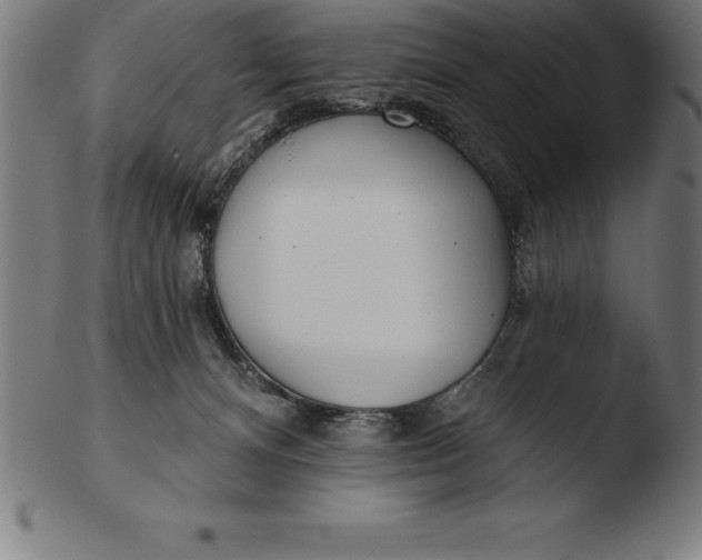 X0000103460128200809261849