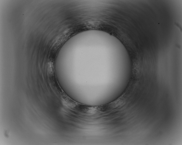 X0000103460130200809261849