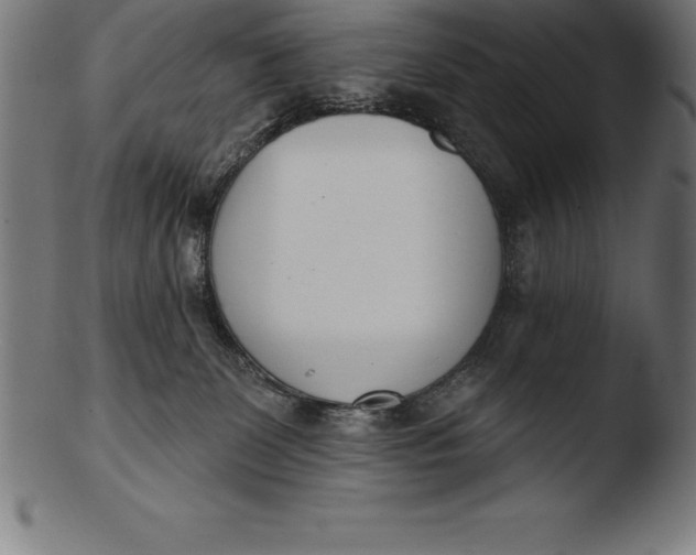 X0000103460131200809261849