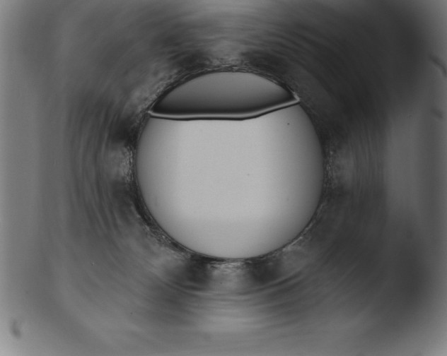 X0000103460132200809261849