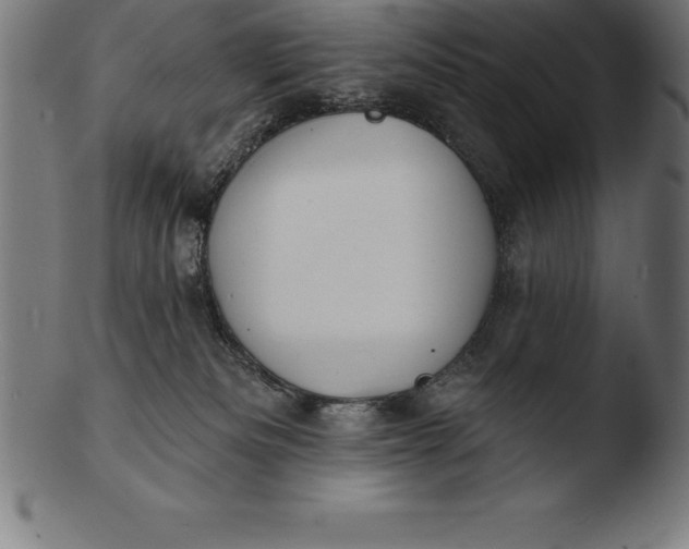 X0000103460133200809261849