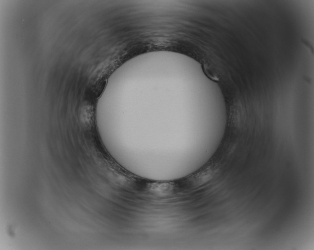 X0000103460135200809261849