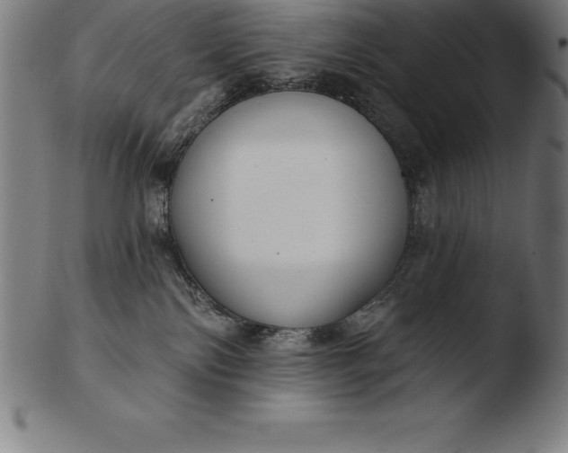 X0000103460138200809261849