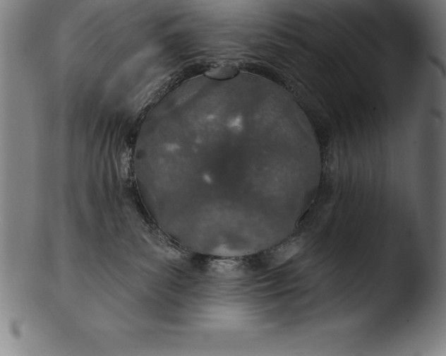 X0000103460139200809261849