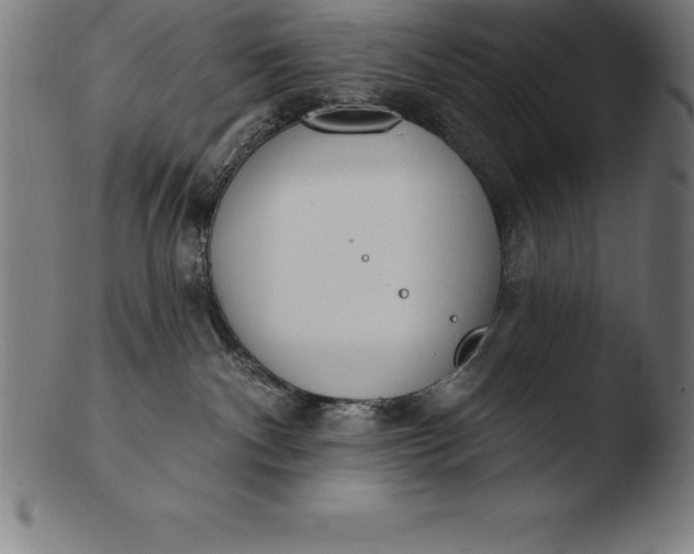 X0000103460140200809261849