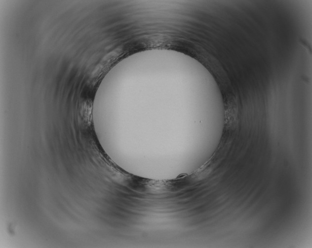 X0000103460142200809261849