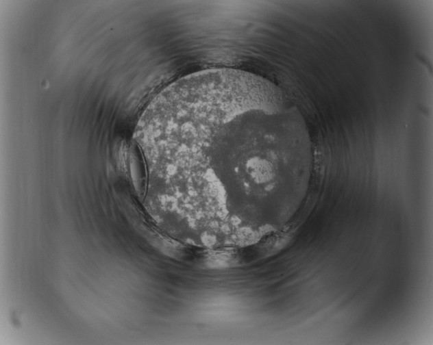 X0000103460143200809261849