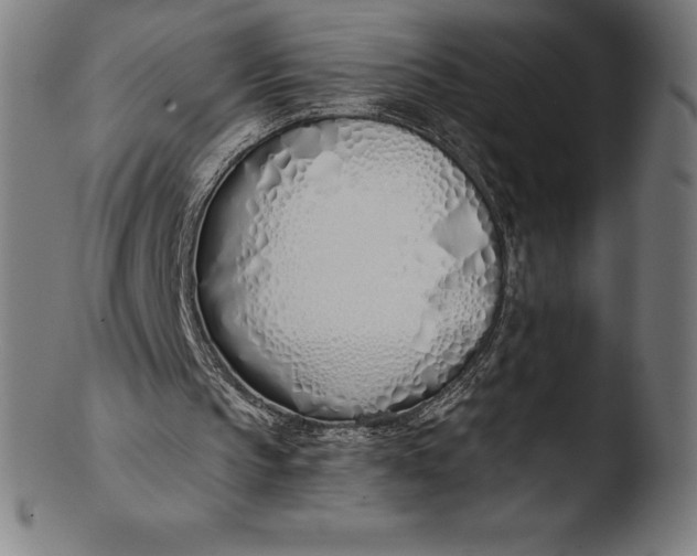 X0000103460145200809261848