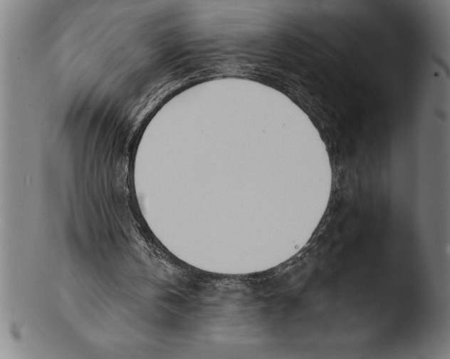 X0000103460146200809261848