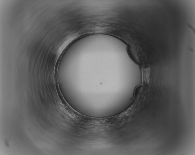 X0000103460147200809261848