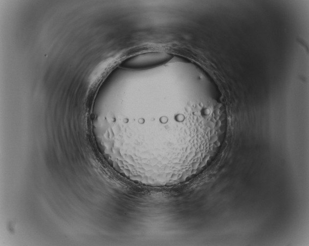 X0000103460149200809261848