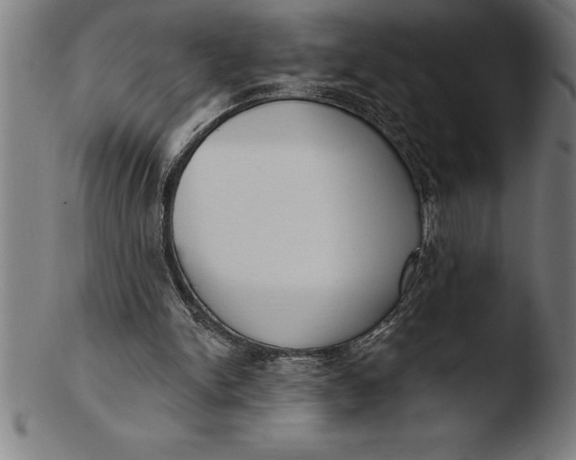 X0000103460150200809261848