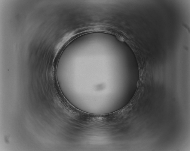 X0000103460152200809261848