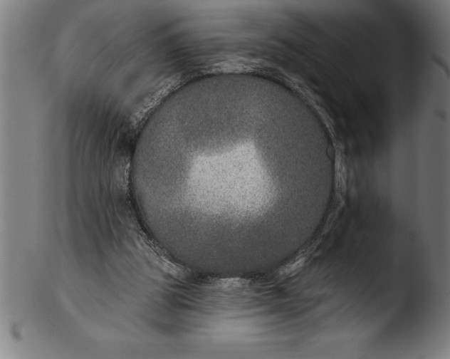 X0000103460153200809261849