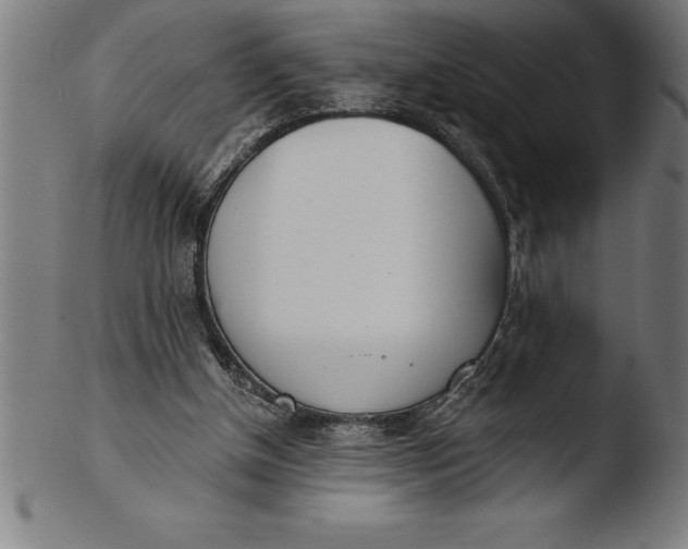 X0000103460154200809261849