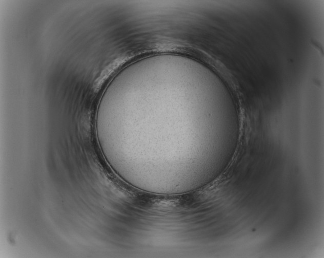 X0000103460155200809261849