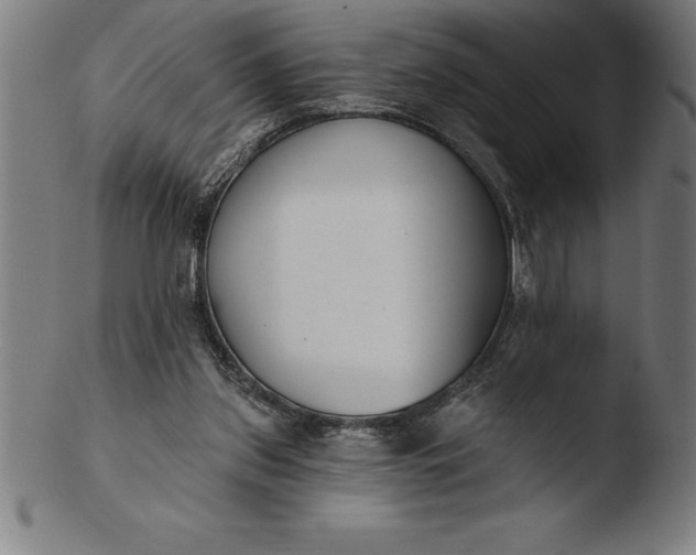 X0000103460157200809261849