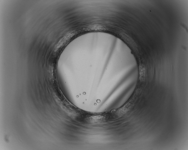 X0000103460158200809261849