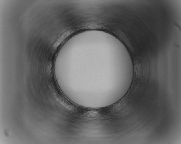 X0000103460159200809261849