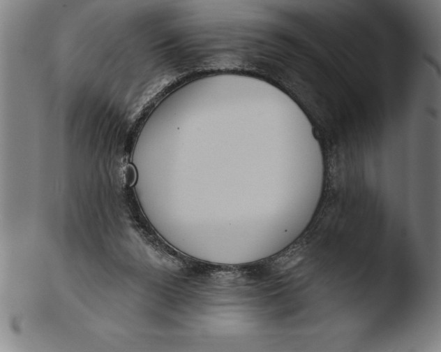 X0000103460160200809261849