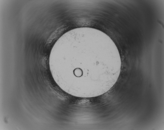 X0000103460162200809261849