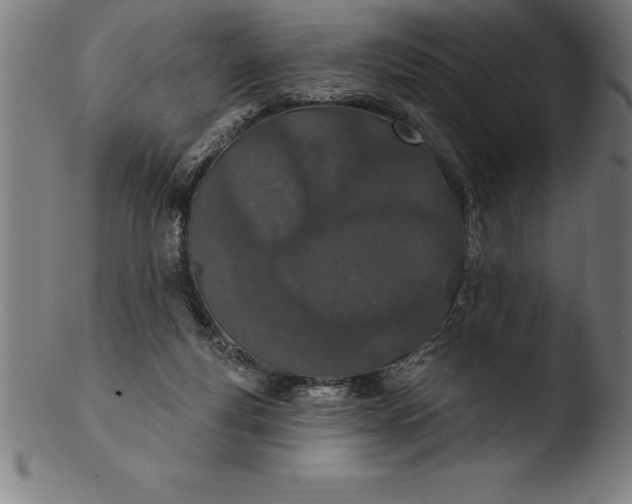 X0000103460163200809261849