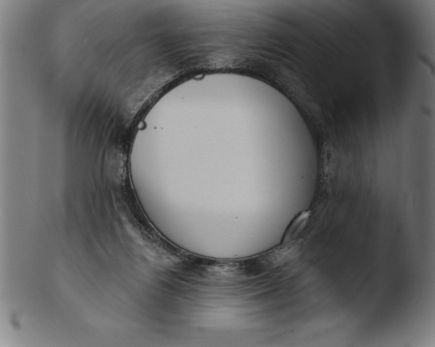 X0000103460164200809261849