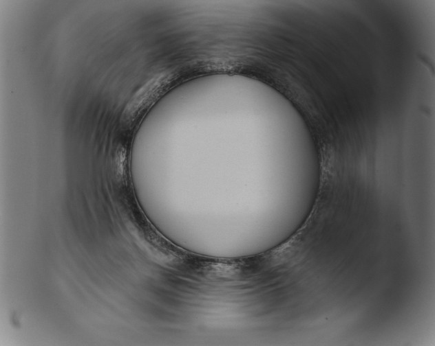 X0000103460166200809261849