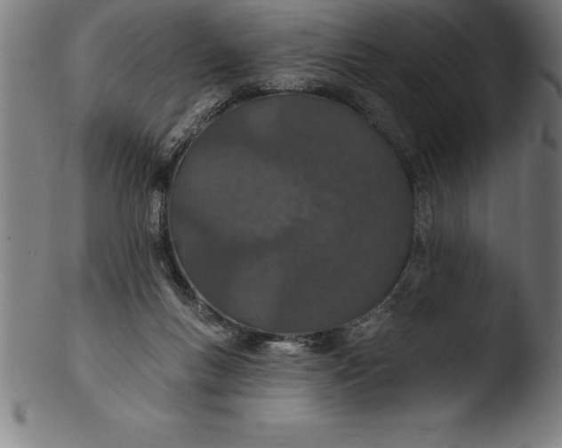 X0000103460167200809261849