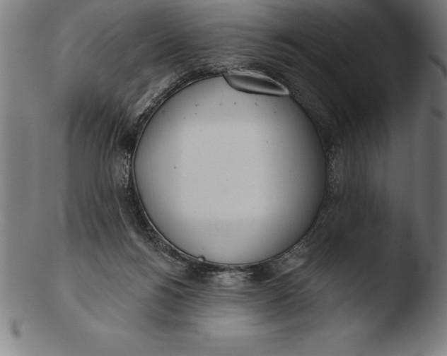 X0000103460168200809261849