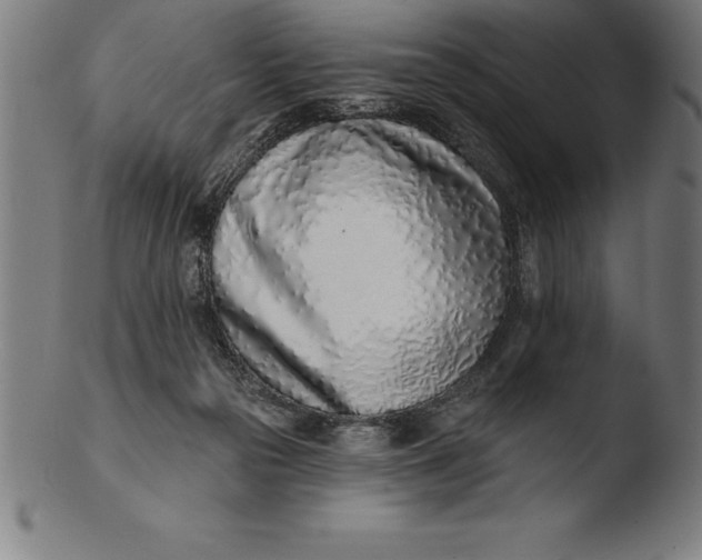 X0000103460169200809261849