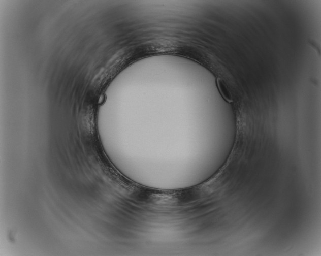 X0000103460170200809261849