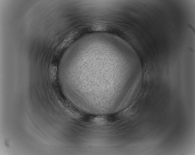 X0000103460171200809261849