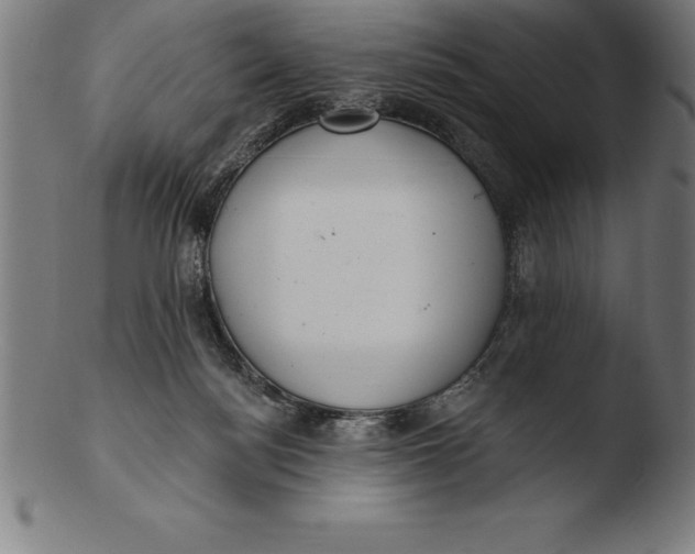 X0000103460172200809261849