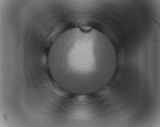 X0000103460173200809261849