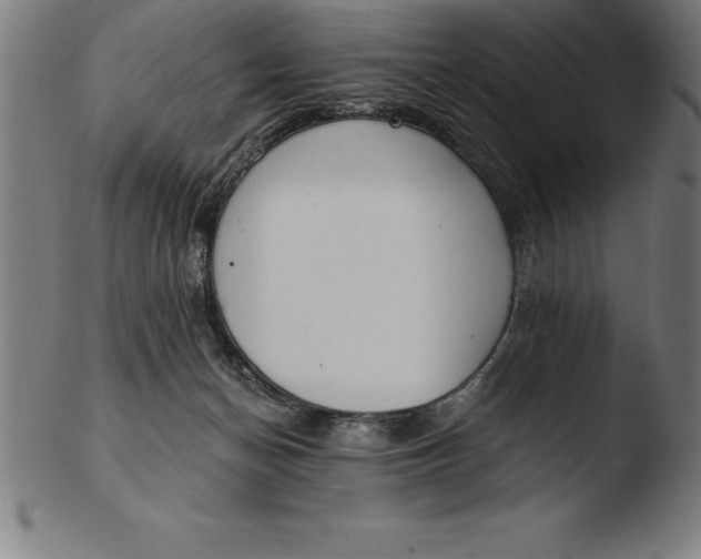 X0000103460174200809261849