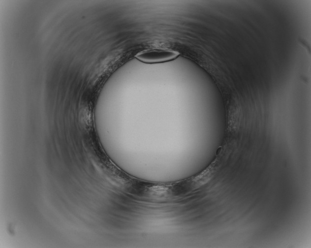 X0000103460176200809261849