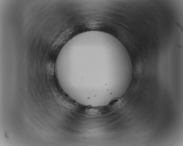 X0000103460180200809261849