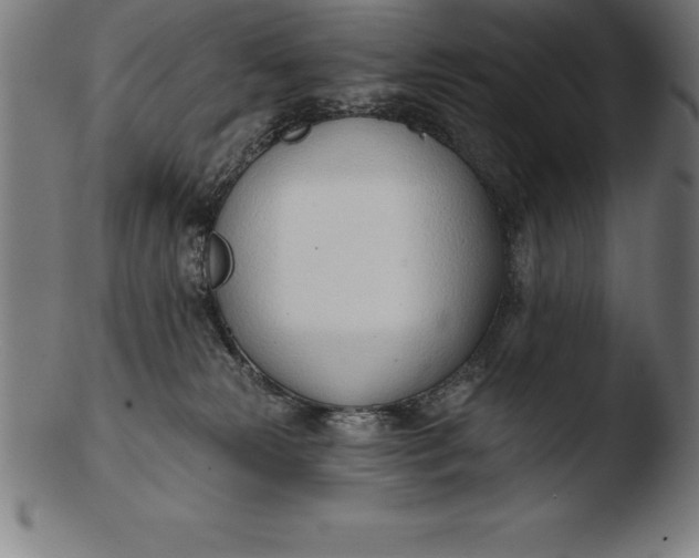 X0000103460181200809261849