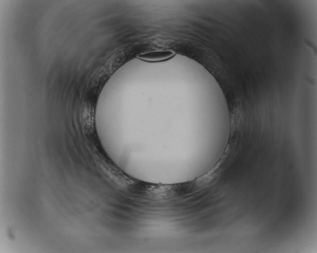 X0000103460186200809261849