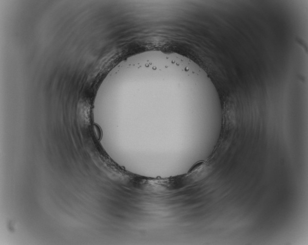 X0000103460188200809261849