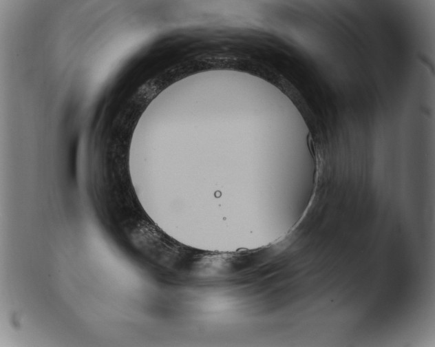 X0000103460190200809261849